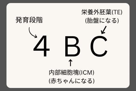 グレードの解説図
